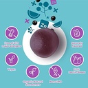 hyland-s-organic-elderberry-plus-gummies-6.jpg
