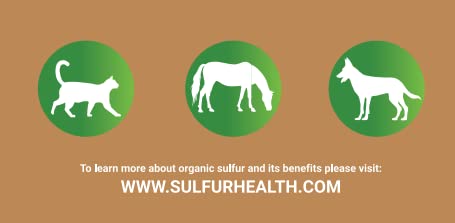 organic-pet-sulfur-99-9-pure-msm-supplem-5.jpg