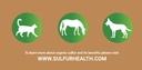 organic-pet-sulfur-99-9-pure-msm-supplem-5.jpg