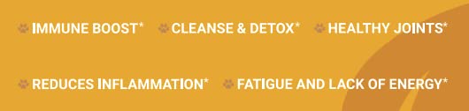 organic-pet-sulfur-99-9-pure-msm-supplem-4.jpg