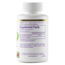 paradise-msm-100-optimsm-original-worldw-3.jpg