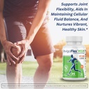 invigoflex-msm-methylsulfonylmethane-msm-5.jpg