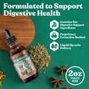 rejuvica-health-digestapro-advanced-dige-2.jpg