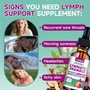 liposomal-lymphatic-drainage-drops-9-in--4.jpg