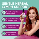 liposomal-lymphatic-drainage-drops-9-in--2.jpg