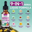 liposomal-lymphatic-drainage-drops-9-in--3.jpg