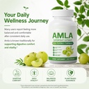 amla-capsules-amla-superfruit-capsules-v-4.jpg