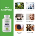 paradise-herbs-amla-250-mg-organic-whole-2.jpg