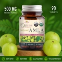 100-organic-amla-tablets-ayurvedic-for-d-3.jpg