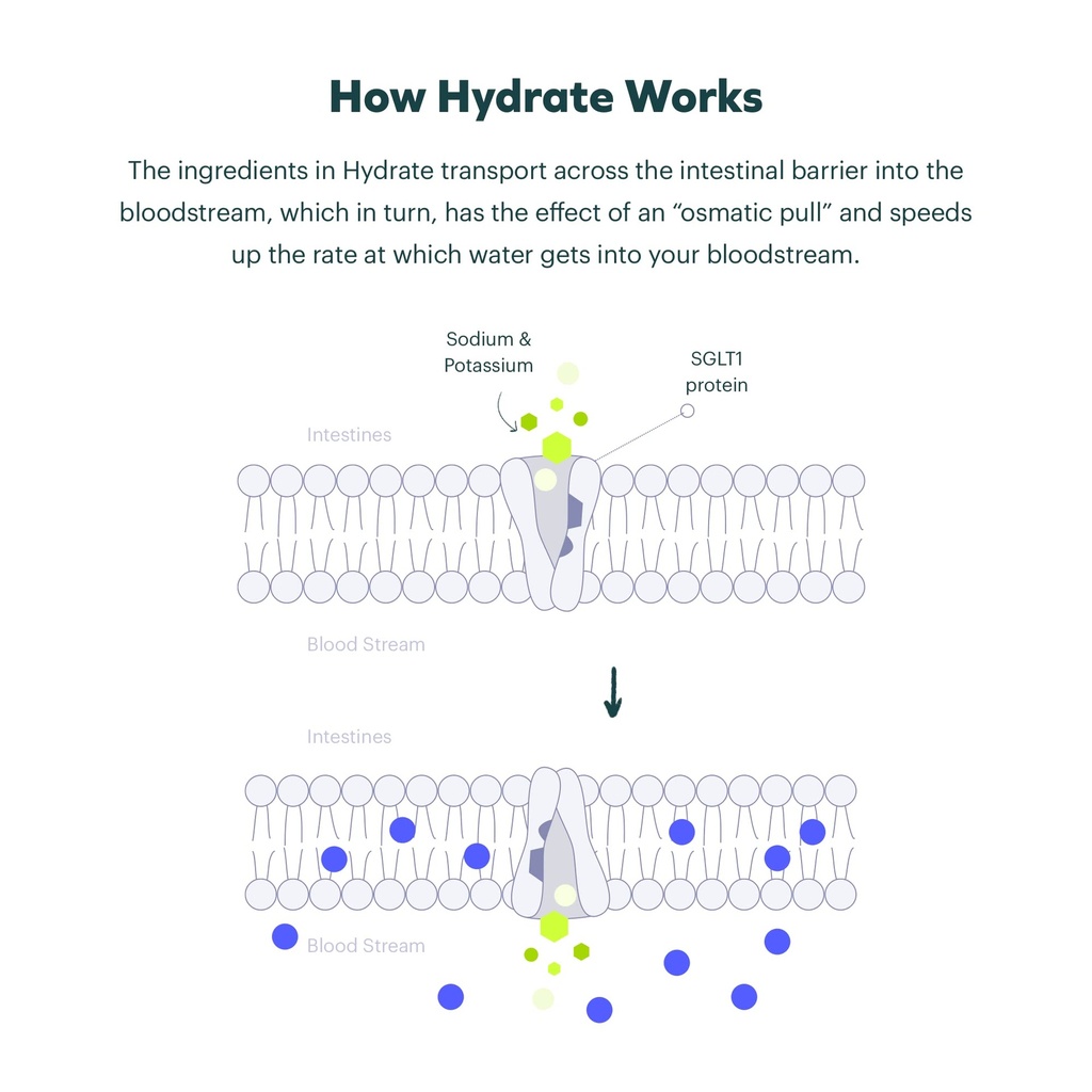 cheers-classic-combo-restore-hydrate-reh-3.jpg