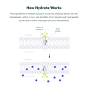 cheers-classic-combo-restore-hydrate-reh-3.jpg