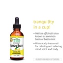 botanic-choice-lemon-balm-liquid-extract-3.jpg