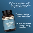 dr-mercola-biothin-organic-apple-cider-v-4.jpg