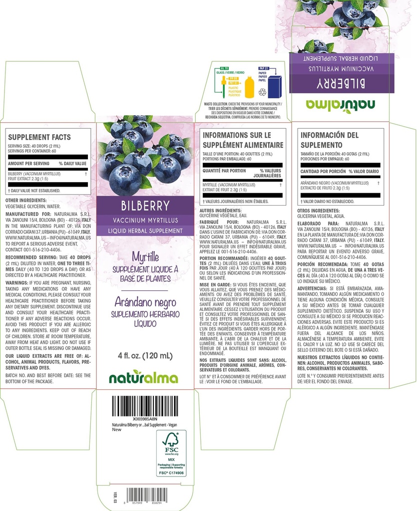 naturalma-bilberry-or-european-blueberry-2.jpg