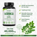 pure-organic-moringa-leaf-capsules-40000-3.jpg