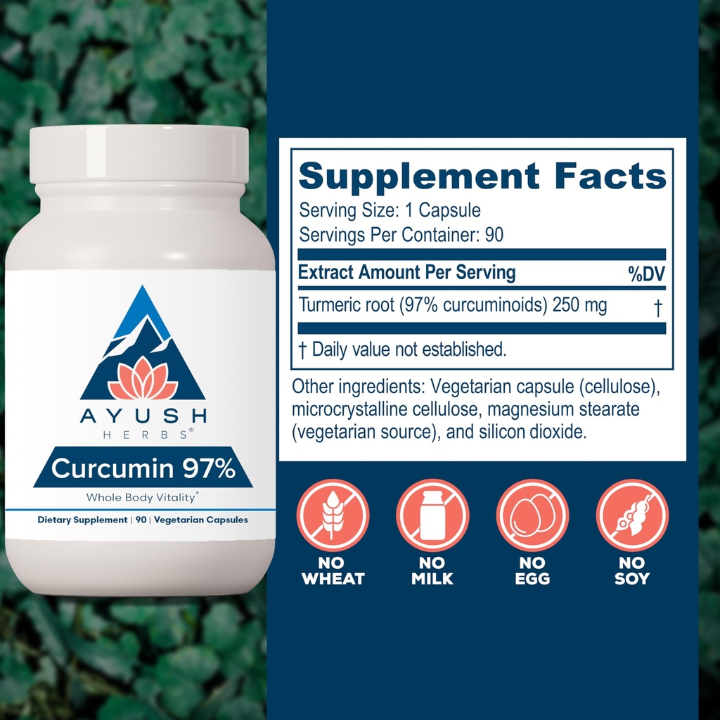 ayush-herbs-curcumin-97-curcumin-supplem-3.jpg