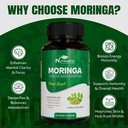 organic-moringa-supplement-500mg-drumsti-4.jpg