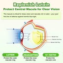 sugar-free-lutein-gummies-25mg-lutein-an-5.jpg