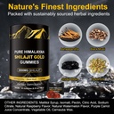 shilajit-gummies-3000mg-himalayan-shilaj-4.jpg