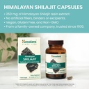 himalaya-shilajit-herbal-energy-suppleme-3.jpg