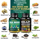 pure-himalayan-organic-shilajit-capsules-2.jpg