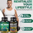 pure-himalayan-organic-shilajit-capsules-4.jpg
