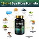 shilajit-for-men-sea-moss-and-shilajit-b-5.jpg