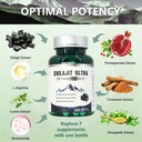 shilajit-for-men-women-shilajit-with-nat-5.jpg