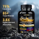 shilajit-capsules-600mg-10-in-1-himalaya-5.jpg