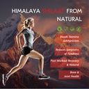 organic-himalayan-shilajit-capsules-8-in-5.jpg