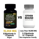 shilajit-capsules-for-men-8-in-1-herbal--4.jpg