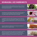 echinacea-dietary-supplement-with-elderb-3.jpg