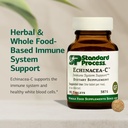 standard-process-echinacea-c-supplement--3.jpg