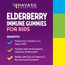 elderberry-gummies-for-kids-with-zinc-an-3.jpg