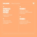 health-by-habit-collagen-supplement-2-pa-5.jpg