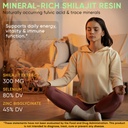adndale-himalayan-natural-shilajit-gummi-3.jpg