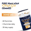 shilajit-gummies-himalayan-natural-shila-6.jpg