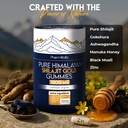 shilajit-gummies-himalayan-natural-shila-3.jpg