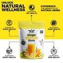 ginger-turmeric-wellness-powder-100-serv-4.jpg