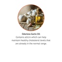 botanic-choice-odorless-garlic-oil-softg-4.jpg