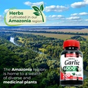 fito-medic-s-garlic-pills-garlic-supplem-5.jpg