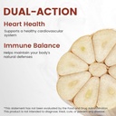 aged-garlic-extract-capsules-odorless-ga-4.jpg