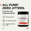 type-zero-clean-stim-free-pre-workout-po-4.jpg