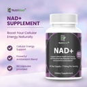 nad-booster-supplement-710mg-nicotinamid-3.jpg