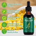 mullein-leaf-extract-for-lungs-mullein-d-5.jpg
