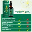 mullein-leaf-extract-for-lungs-mullein-d-4.jpg