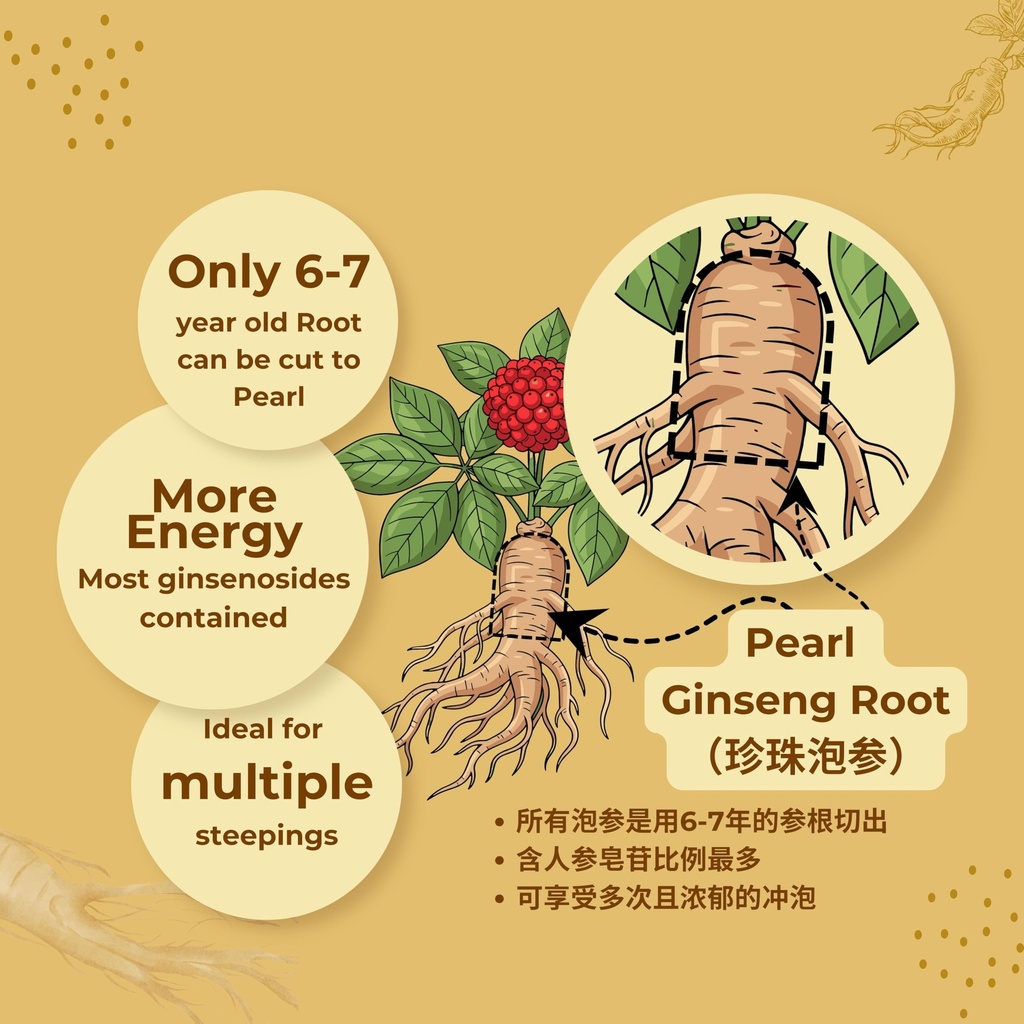 hlx-american-ginseng-pearl-root-7-year-p-3.jpg