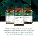 gaia-herbs-pro-fermented-beet-maca-healt-6.jpg