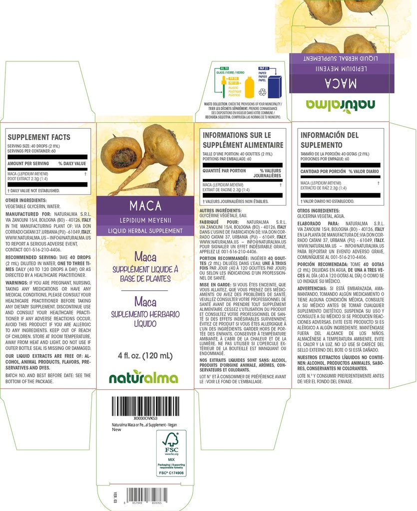 naturalma-maca-or-peruvian-ginseng-lepid-2.jpg