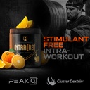 hosstile-intra-r3-intra-workout-powder-e-3.jpg